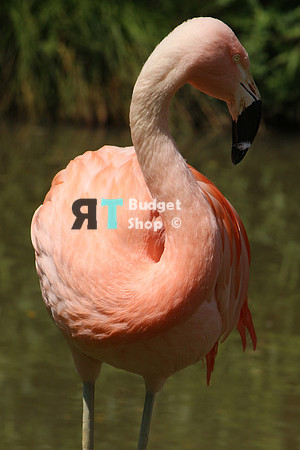 1-IMG_0541