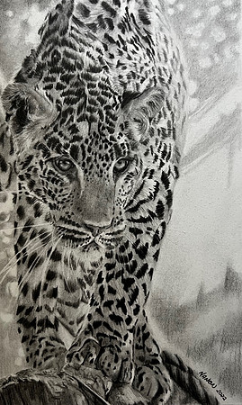“Eyes on the Spots” by Manon Bentley