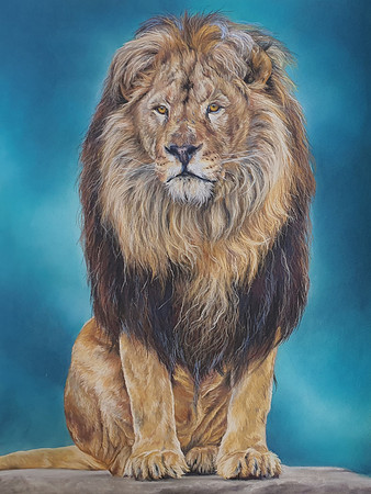08 Untitled by Liz Gardner