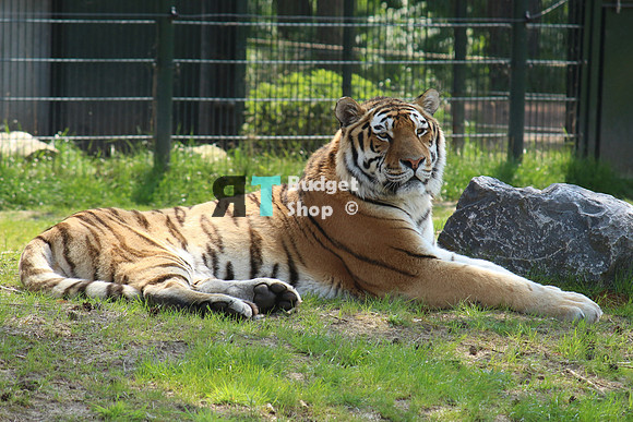 2-IMG_0703
