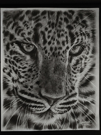 02: Second Place "Stealth by Cristel Villamarin