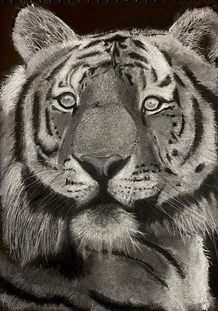 @dandy_drawing