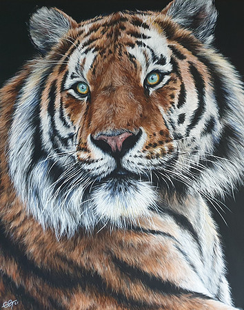 @liz.wildlife.artist