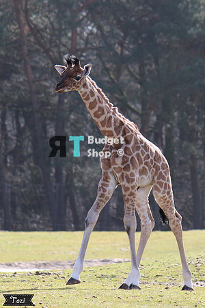 1-IMG_8605