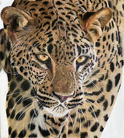 "I Spy....." by Hana Fitzsimmons
