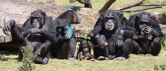 1-IMG_1227 - kopie