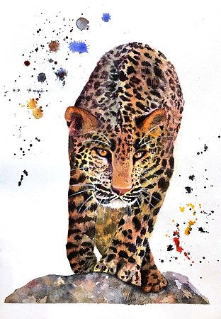 "Hunting on a rock"  by Mariapaola Sorrentino