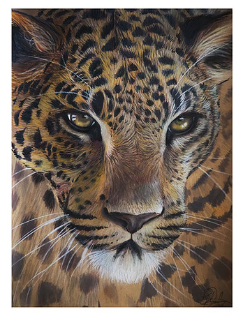 "Leopard"  by Ilja Scholten