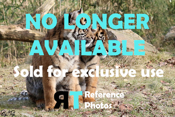 Sorry, no longer available. Sold for exclusive use