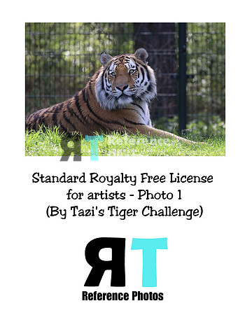 Standard Royalty Free License for Artists Photo 1