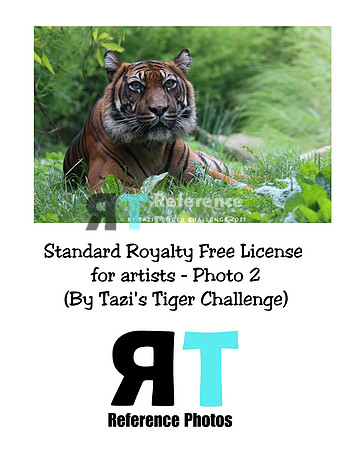 Standard Royalty Free License for Artists Photo 2