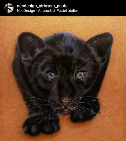 Third place winner - "Free the jaguar cub"