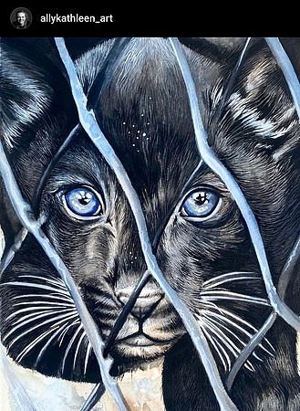 "Blue Mountains Panther"