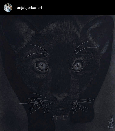 "Free the Jaguar Cub"