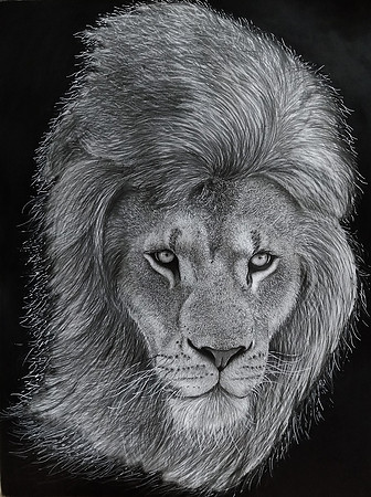01: "The Stare" - Mix Media (Graphite pencils, Charcoal powder, white acrylic & black pigment pens on Paper) -  50x65cm