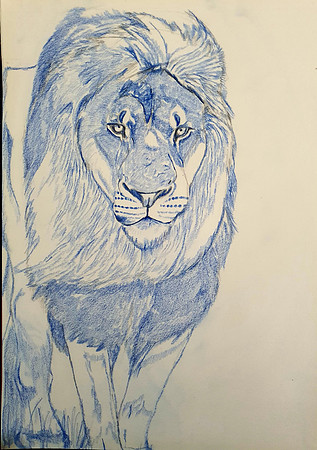 08: "Lion in monochrome" -  Coloured pencil on paper - 2770 × 4032