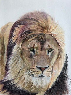 09: "The Mighty" - Pastelmat.- 30x40cm