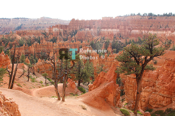 Bryce Canyon