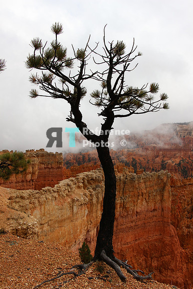 Bryce Canyon