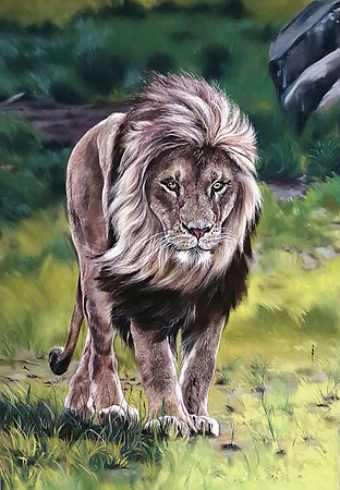 12: "Magnificent"  - Pastel on pastelmat paper -  44×30 cm