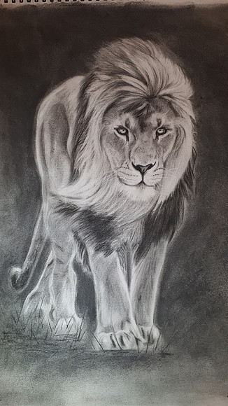 14: "Lion in the wind" - Charcoal on paper - 29,7x42 cm