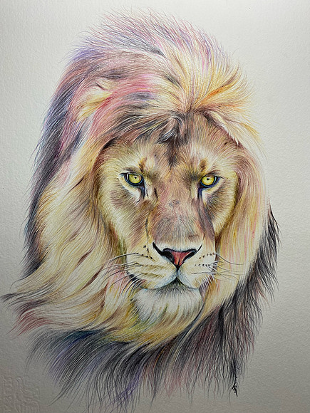 15: "Fierce" - Ballpoint pen on hot press watercolour paper - 33x42 cm
