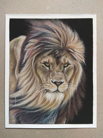 16: "Lion" - Faber-Castell pastel pencils on pastelmat paper - 24x30cm