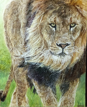 17: "I am a lion"- oils on canvas - 8X10 inches