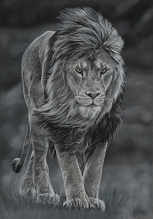 18: "Charlion" - charcoal - 70x50cm