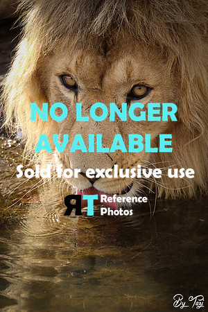 Sold for exclusive use