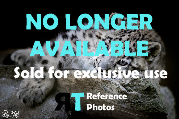 Sold for exclusive use