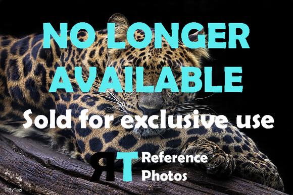 Sorry, no longer available. Sold for exclusive use.
