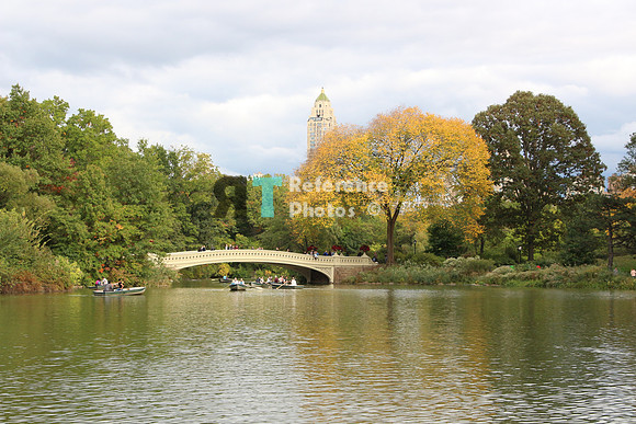 New York City - Central Park