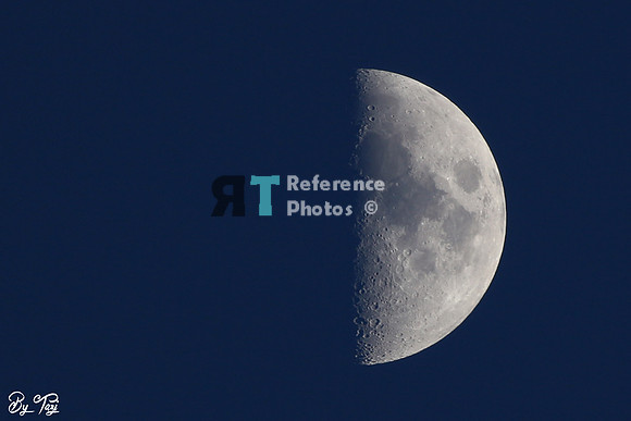 Half full moon