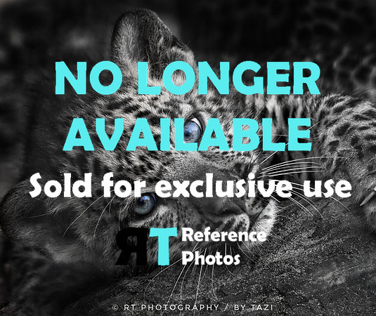 Sorry, no longer available