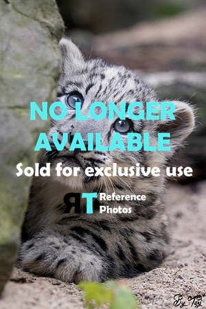 Sold for exclusive use
