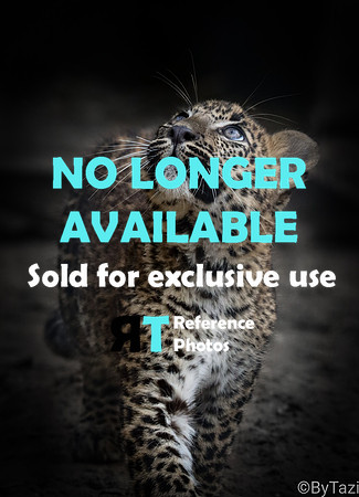 Sorry, no longer available..