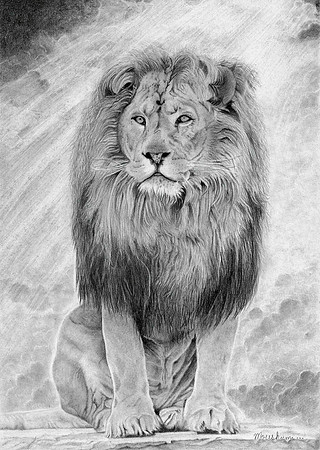 13 "Lonely Lion" by Moushumi Ray